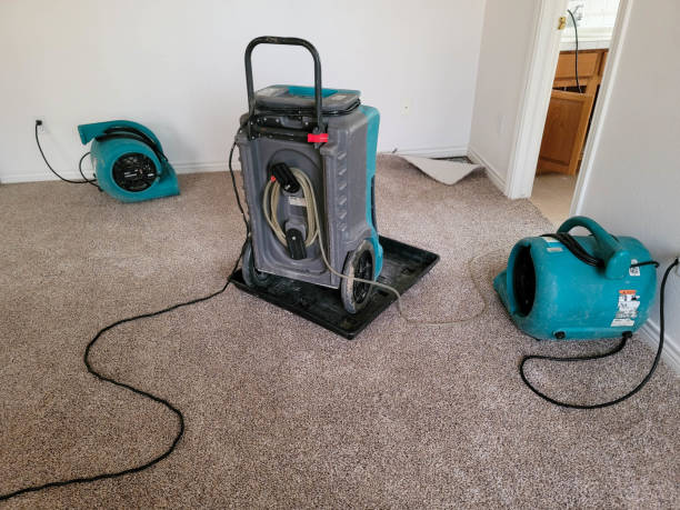 Best Water damage restoration cost  in Richland, WA