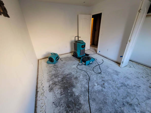 Best Professional water damage repair  in Richland, WA