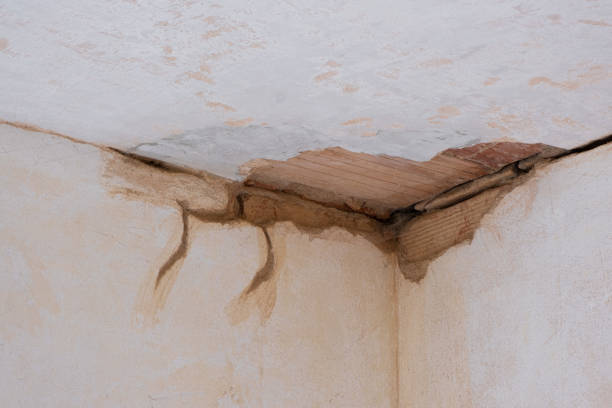 Best Emergency water damage restoration  in Richland, WA