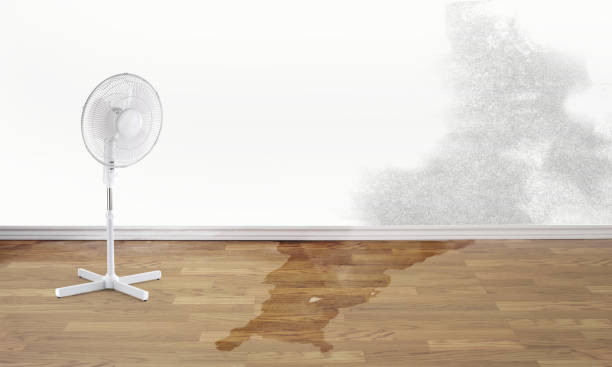 Best Professional water damage repair  in Richland, WA
