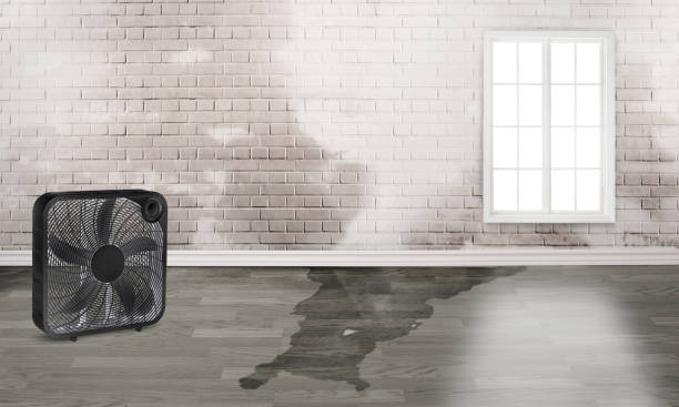 Richland, WA Water damage restoration Company