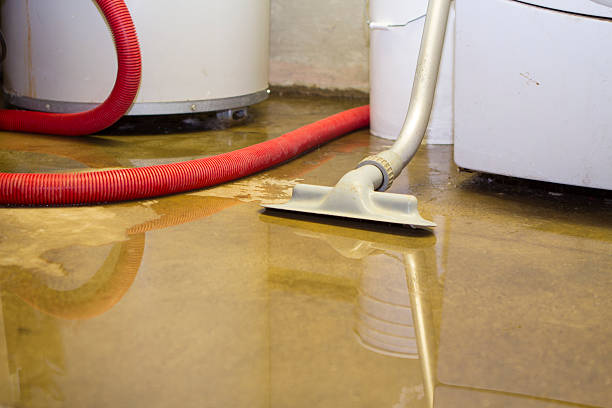 Best Carpet water damage restoration  in Richland, WA