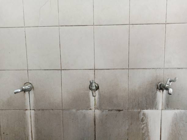 Best Basement water damage restoration  in Richland, WA