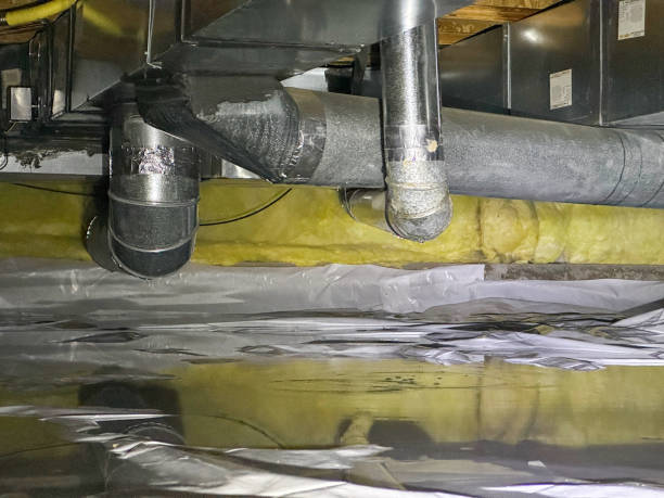 Best Water damage cleanup near me  in Richland, WA