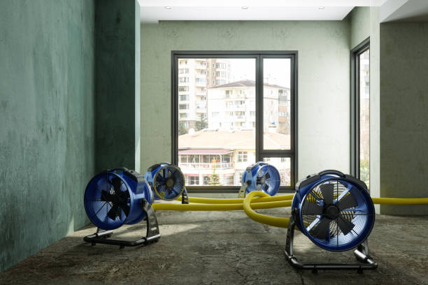 Best Ceiling water damage repair  in Richland, WA